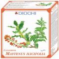 Diochi - Maytenus illicifolia 100g - bioinformační čaj
