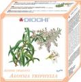 Diochi - Aloysia triphylla 100g - bioinformační čaj