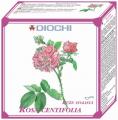 Diochi - Rosa centifolia 50g - bioinformační čaj