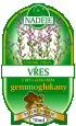 Gemmoterapie - Vřes 50ml - s betaglukanem